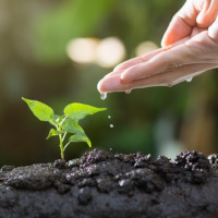 Лидери в екологията на бъдещето се обучават в инициатива „Зелено дете“ Лидери в екологията на бъдещето се обучават в инициатива „Зелено дете“